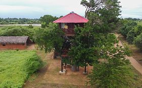 Animal View Point Yala